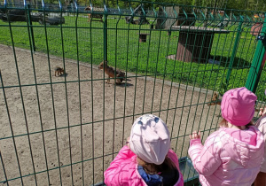Zdjęcie 41 na 58