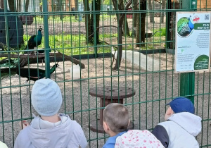 Zdjęcie 53 na 58