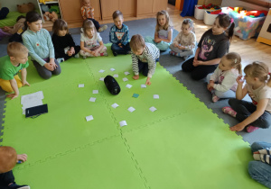 Zdjęcie 13 na 13