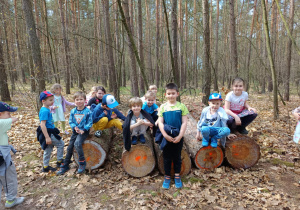Zdjęcie 6 na 14