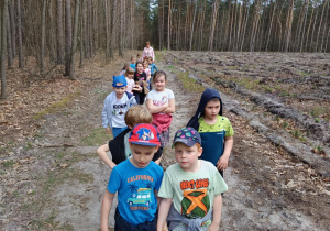Zdjęcie 9 na 14