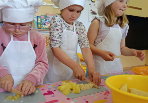 Zdjęcie 15 na 25