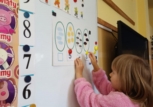 Zdjęcie 13 na 18