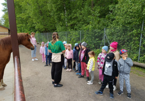 Zdjęcie 1 na 82