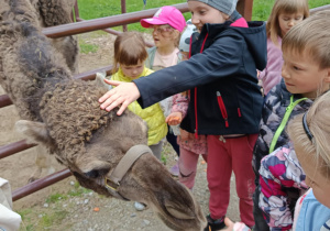 Zdjęcie 10 na 82