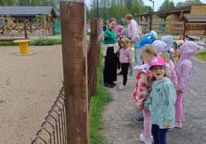 Zdjęcie 19 na 82