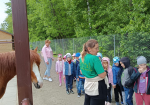 Zdjęcie 28 na 82