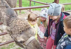 Zdjęcie 40 na 82