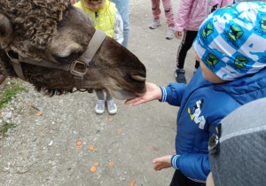 Zdjęcie 61 na 82