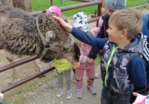 Zdjęcie 62 na 82