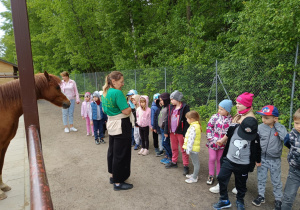 Zdjęcie 75 na 82
