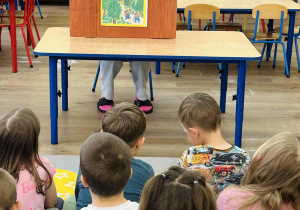 Zdjęcie 14 na 34