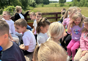 Zdjęcie 12 na 120