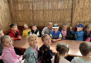Zdjęcie 30 na 120