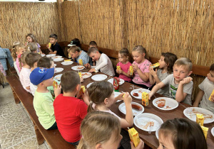 Zdjęcie 51 na 120