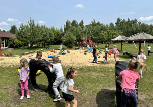 Zdjęcie 80 na 120