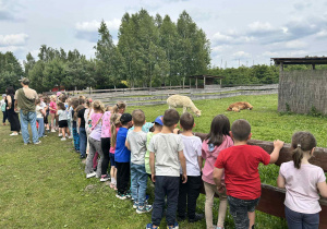 Zdjęcie 81 na 120