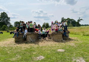 Zdjęcie 88 na 120