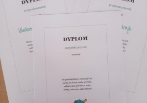 Zdjęcie 3 na 29