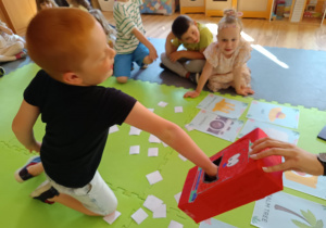 Zdjęcie 11 na 12