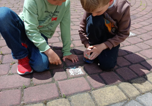 Zdjęcie 2 na 12