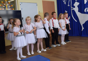 Zdjęcie 15 na 35