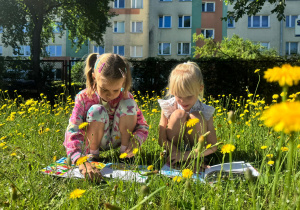 Zdjęcie 18 na 20