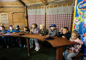 Zdjęcie 15 na 94