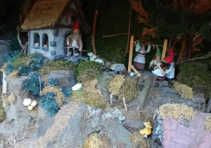 Zdjęcie 15 na 72