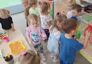 Zdjęcie 16 na 34