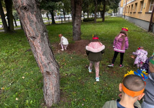 Zdjęcie 19 na 34
