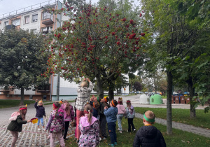 Zdjęcie 4 na 34