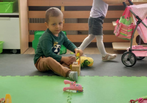 Zdjęcie 24 na 25