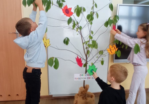Zdjęcie 15 na 65