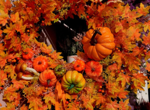 Jesienny pejzaż wokół nas - maluszki na spacerze w poszukiwaniu Pani Jesieni