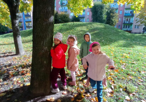 Zdjęcie 3 na 22
