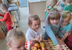 Zdjęcie 13 na 24