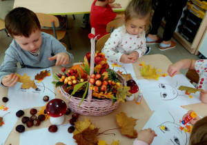 Zdjęcie 17 na 34