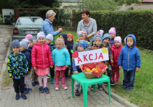 Zdjęcie 3 na 12