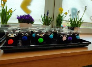 WITAJ WIOSNO! grupa IV