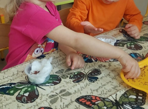 Powiększamy nasze wiosenne hodowle w kąciku przyrodniczym -siejemy wielkanocną rzeżuchę gr I