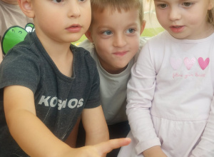 Jak wyglądają bakterie? Eksperyment w grupie II