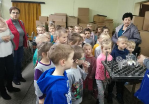 Zdjęcie 12 na 19