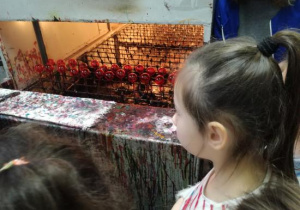 Zdjęcie 16 na 19