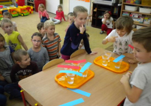 Zdjęcie 5 na 9