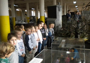 Zdjęcie 4 na 5
