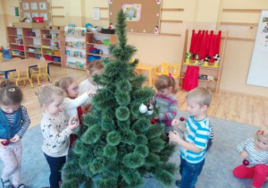Zdjęcie 14 na 19