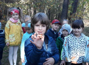 Wycieczka do lasu gr.IV i V