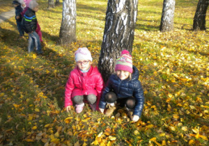 Zdjęcie 4 na 13
