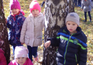 Zdjęcie 7 na 13